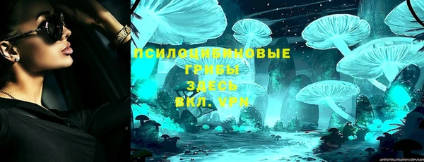 бошки Алзамай