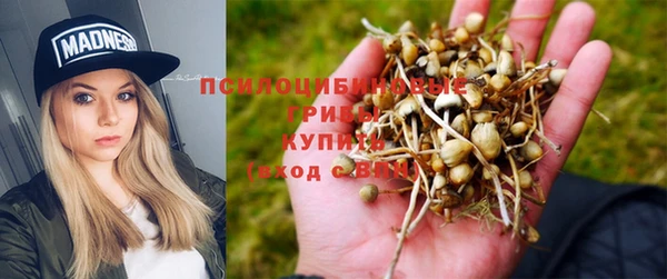 круглые Алексеевка