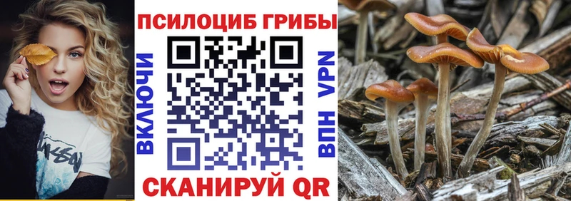 Галлюциногенные грибы Psilocybine cubensis  МЕГА   Пенза 